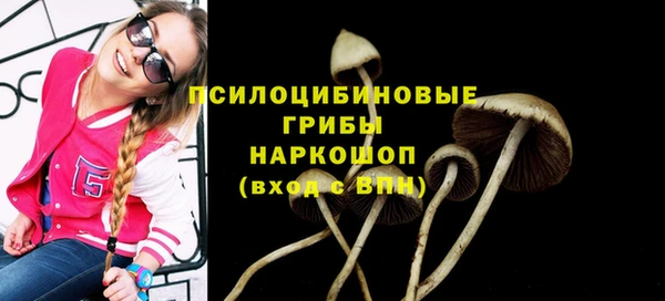 сатива Арсеньев