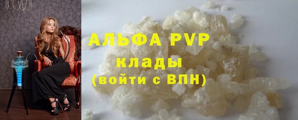 сатива Арсеньев