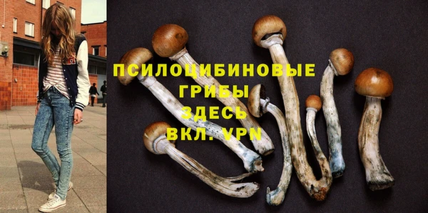 сатива Арсеньев