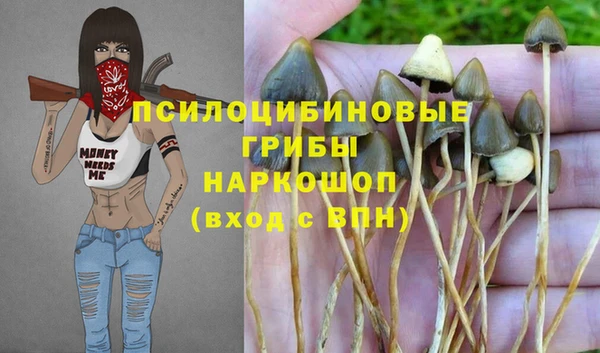 сатива Арсеньев