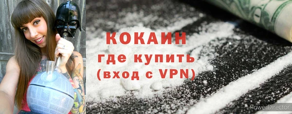 сатива Арсеньев