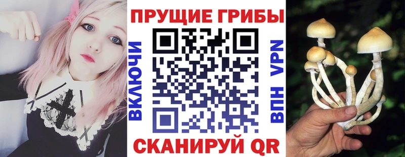 цены   Пушкино  Псилоцибиновые грибы Magic Shrooms 